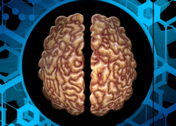 Maiores causas de doença mental: Fatores Genéticos e Biológicos